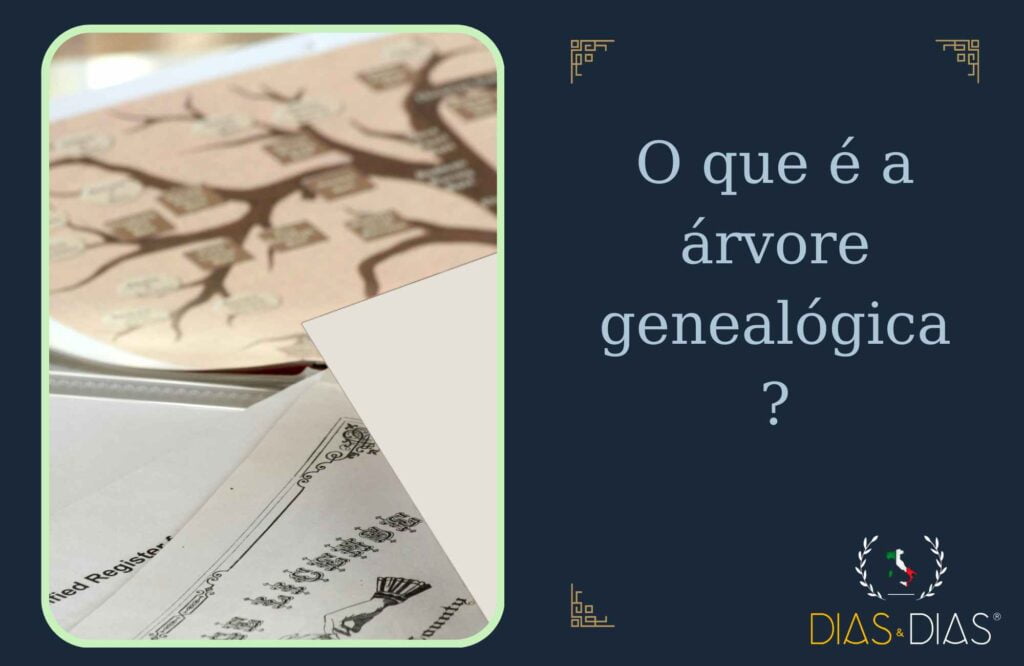 O que é a árvore genealógica