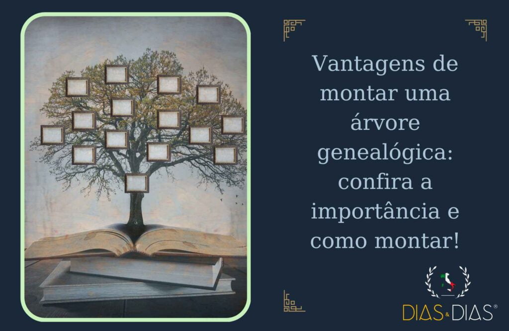 Vantagens de montar uma árvore genealógica, confira a importância e como montar!