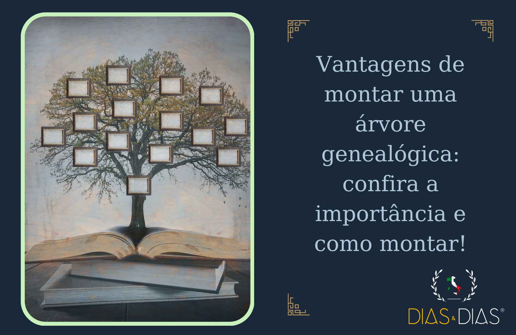 Vantagens de montar uma árvore genealógica, confira a importância e como montar!